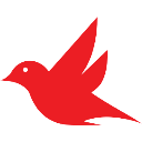 Robin - Your AI Sidekick