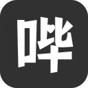 哔哩哔哩字幕列表